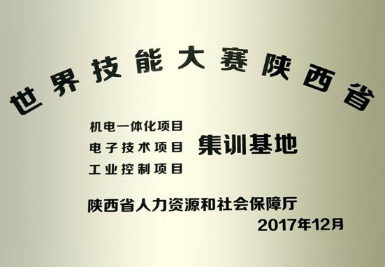 技能大賽牌子_愛(ài)奇藝